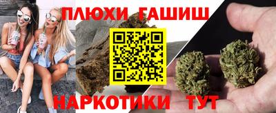 индика Будённовск