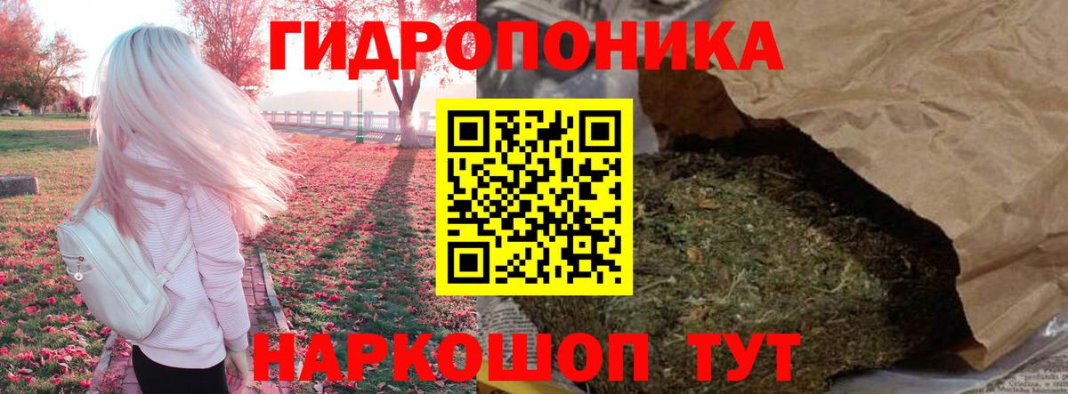 Бошки Шишки семена Миасс